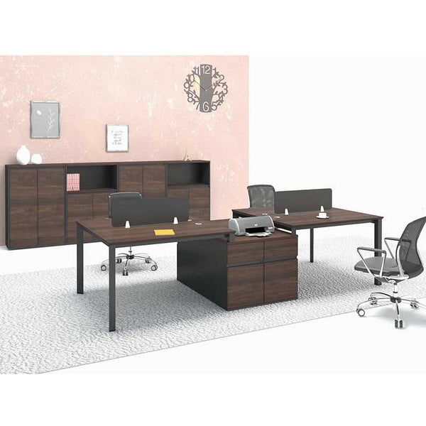 Workstation WS-21